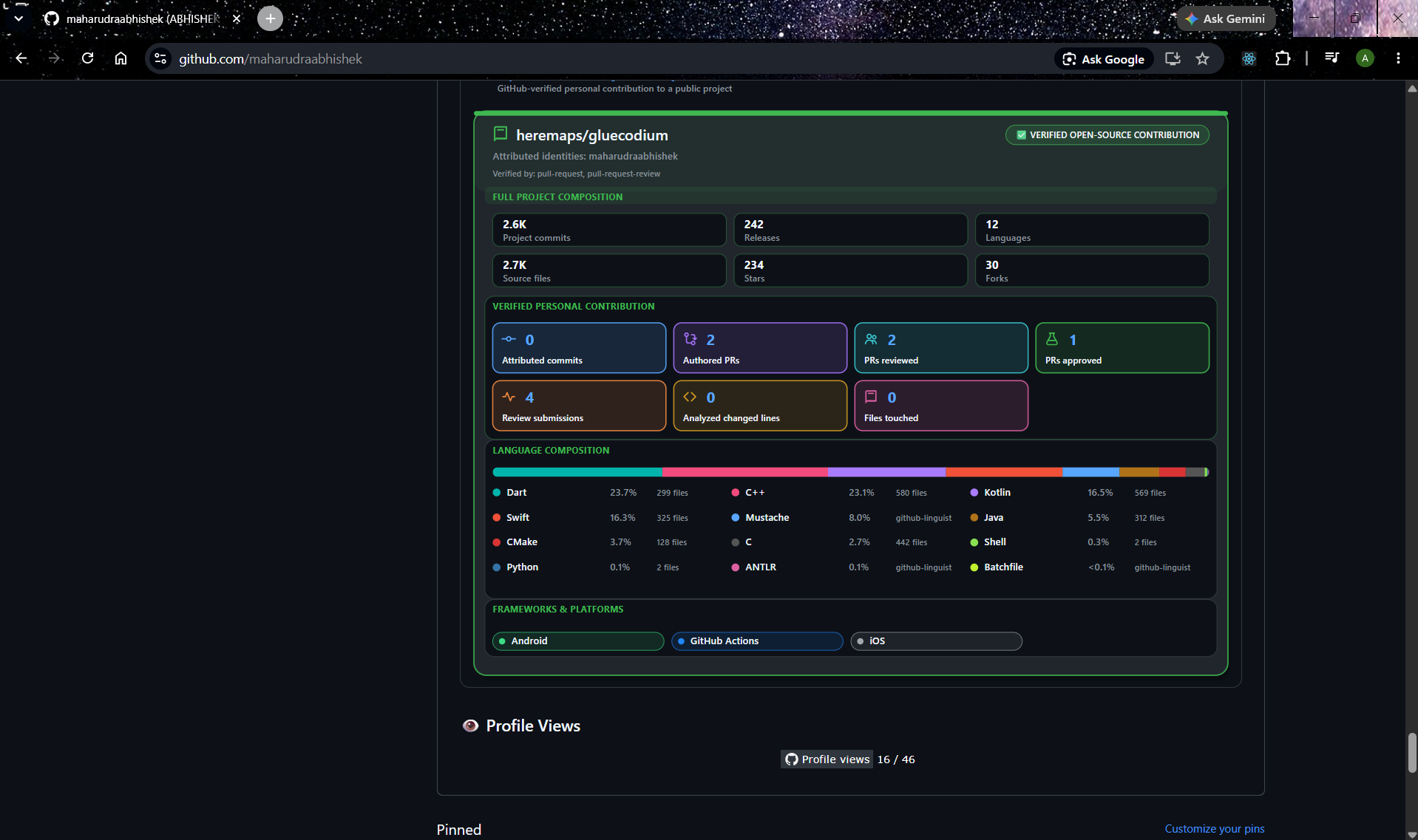 GitHub Analytics Generator screenshot 14: Screenshot 14